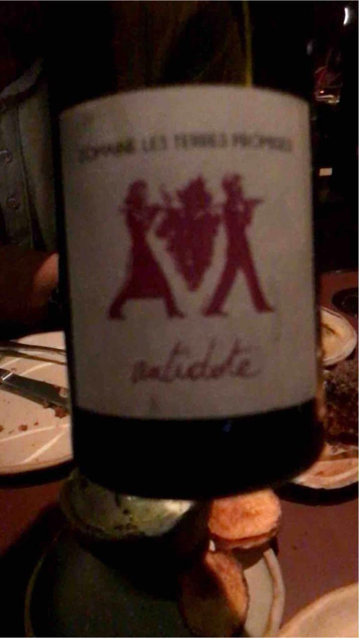 Antidote - Les Terres Promises - Jean-Christophe Comor 