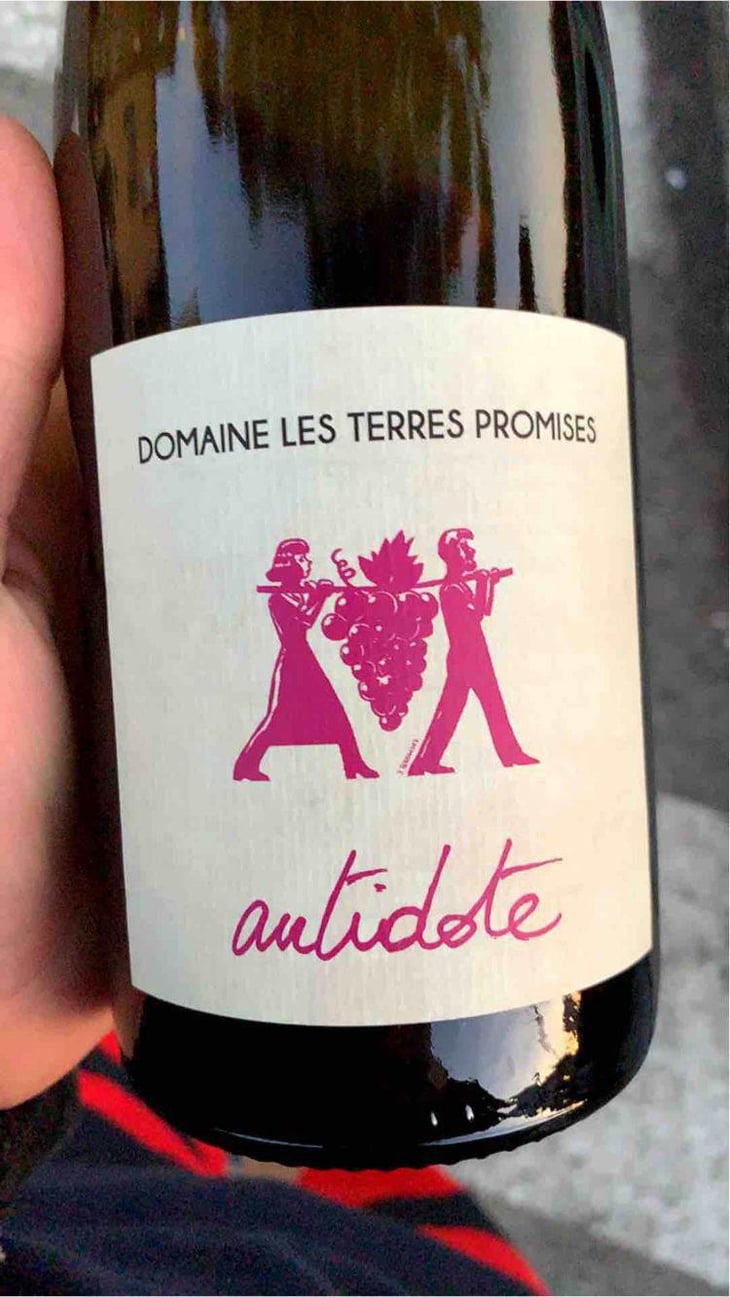 Antidote - Les Terres Promises - Jean-Christophe Comor 