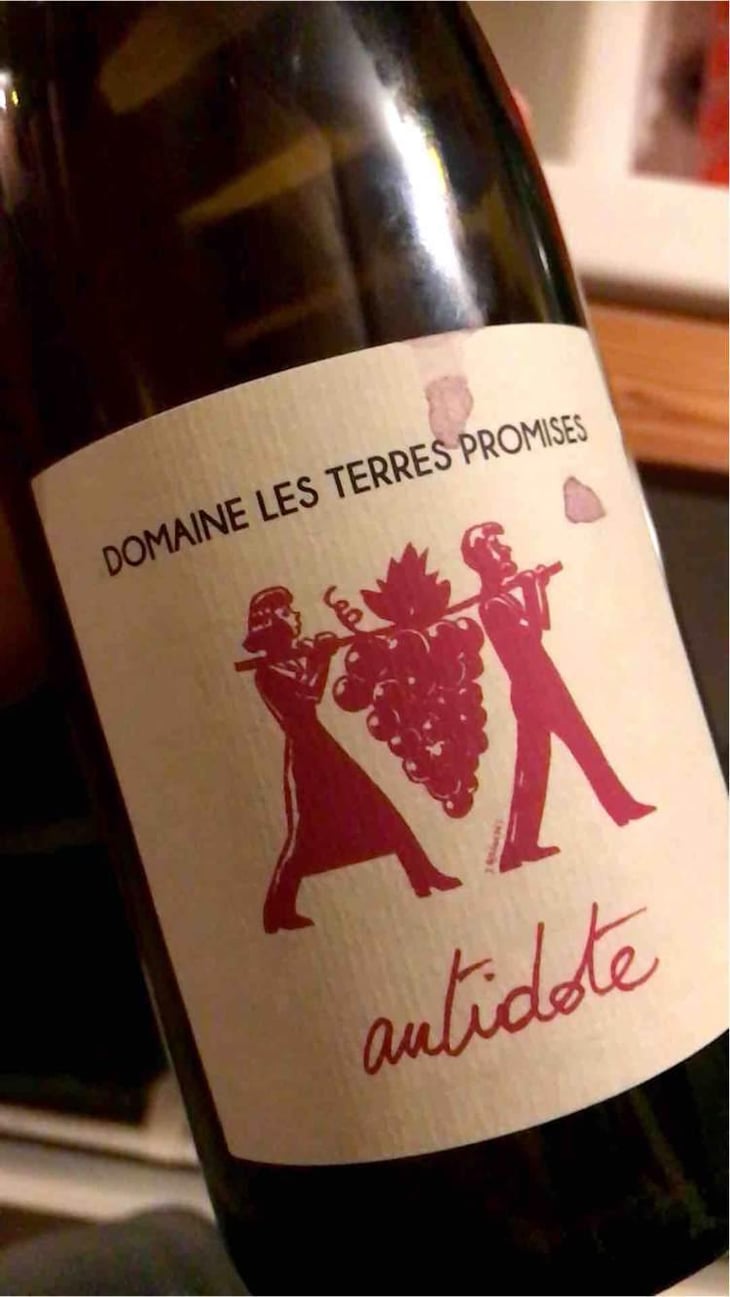 Antidote - Les Terres Promises - Jean-Christophe Comor 