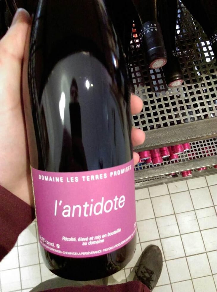 Antidote - Les Terres Promises - Jean-Christophe Comor 