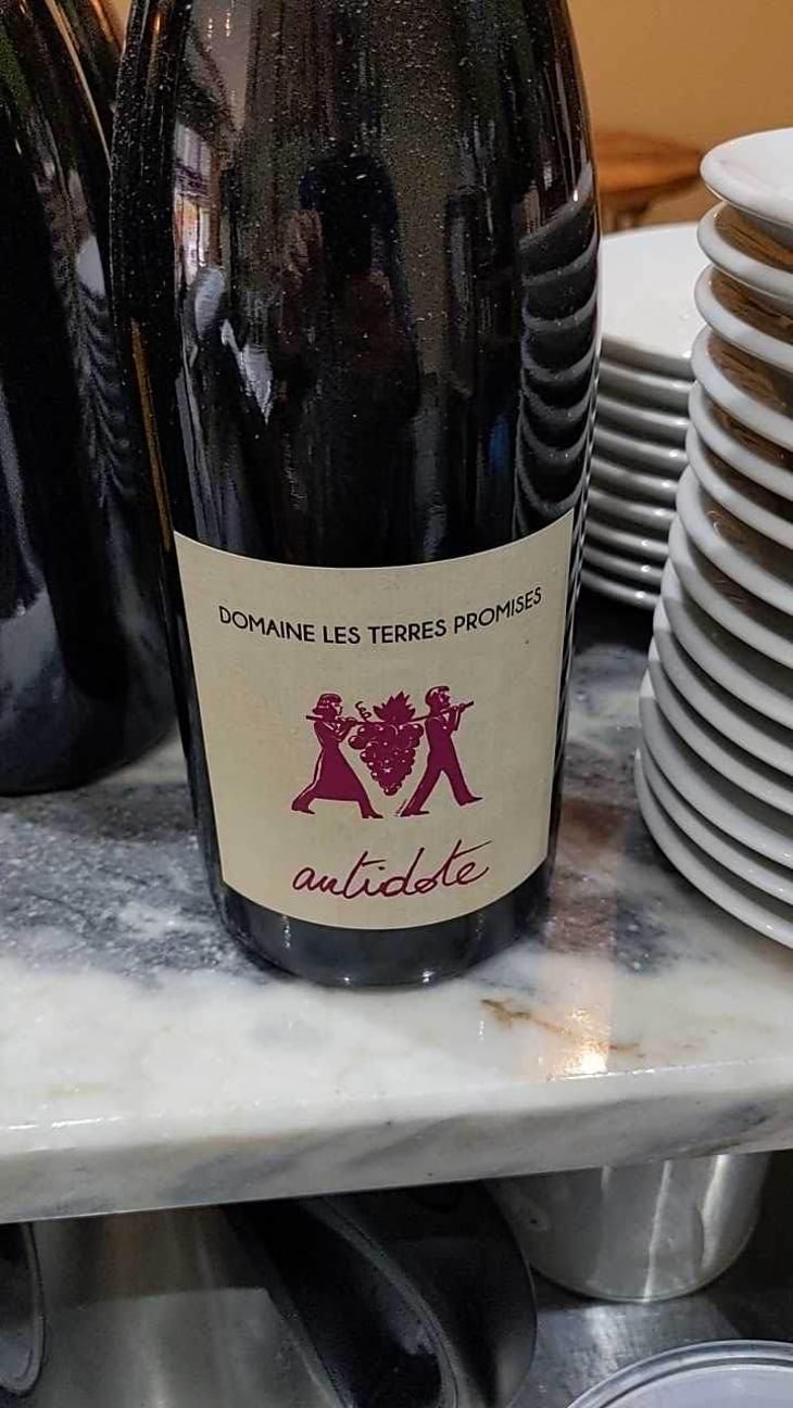 Antidote - Les Terres Promises - Jean-Christophe Comor 