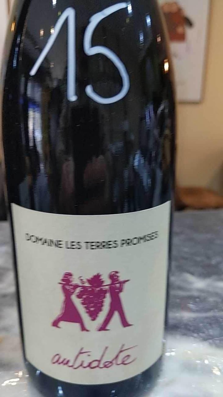 Antidote - Les Terres Promises - Jean-Christophe Comor 