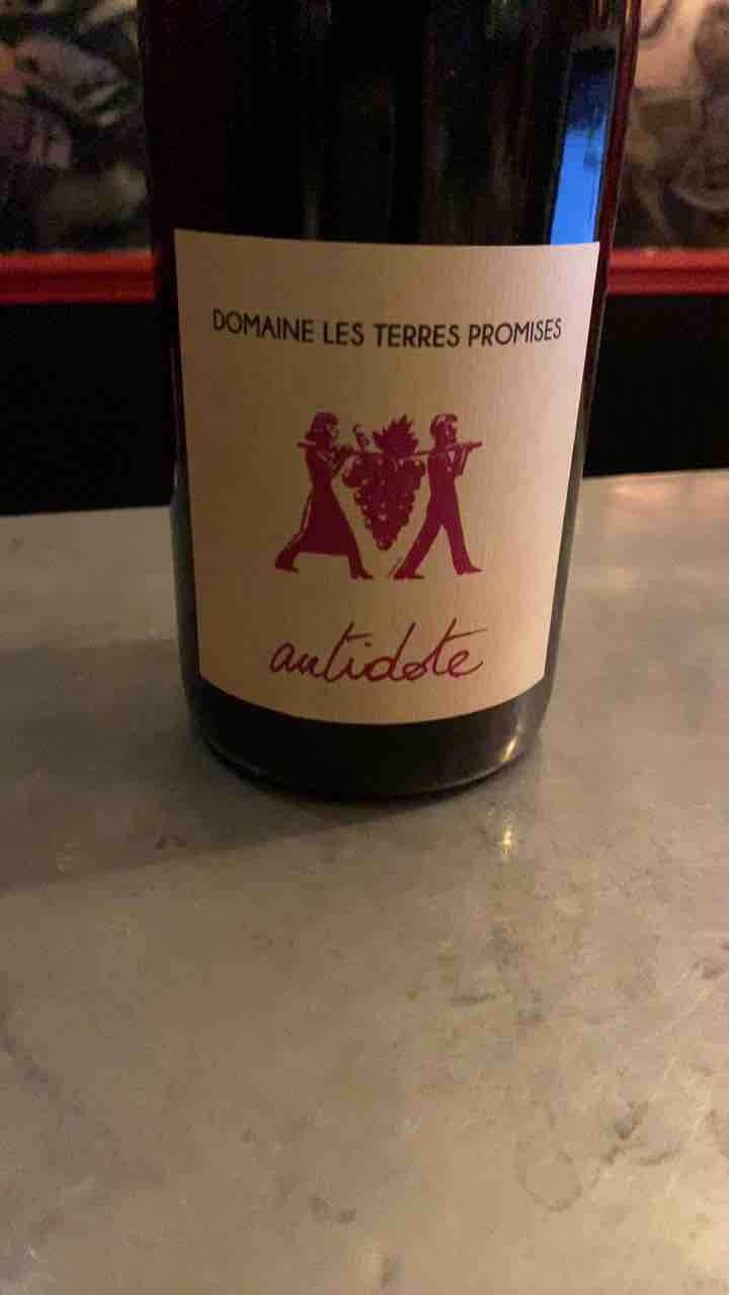 Antidote - Les Terres Promises - Jean-Christophe Comor 