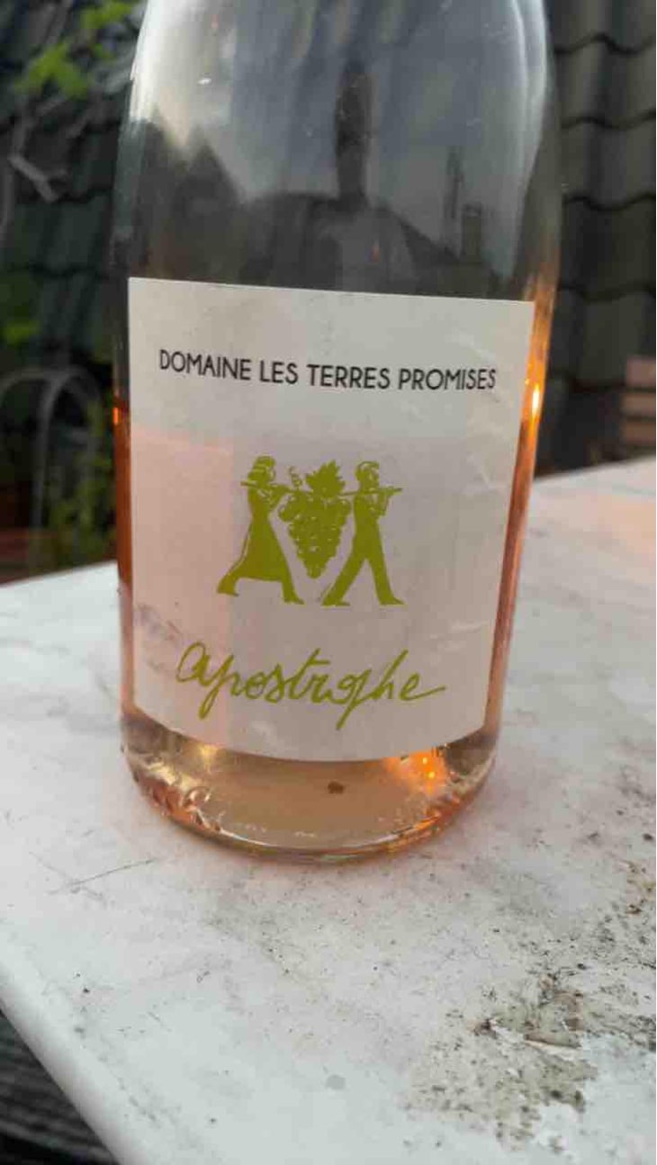 Antidote - Les Terres Promises - Jean-Christophe Comor 