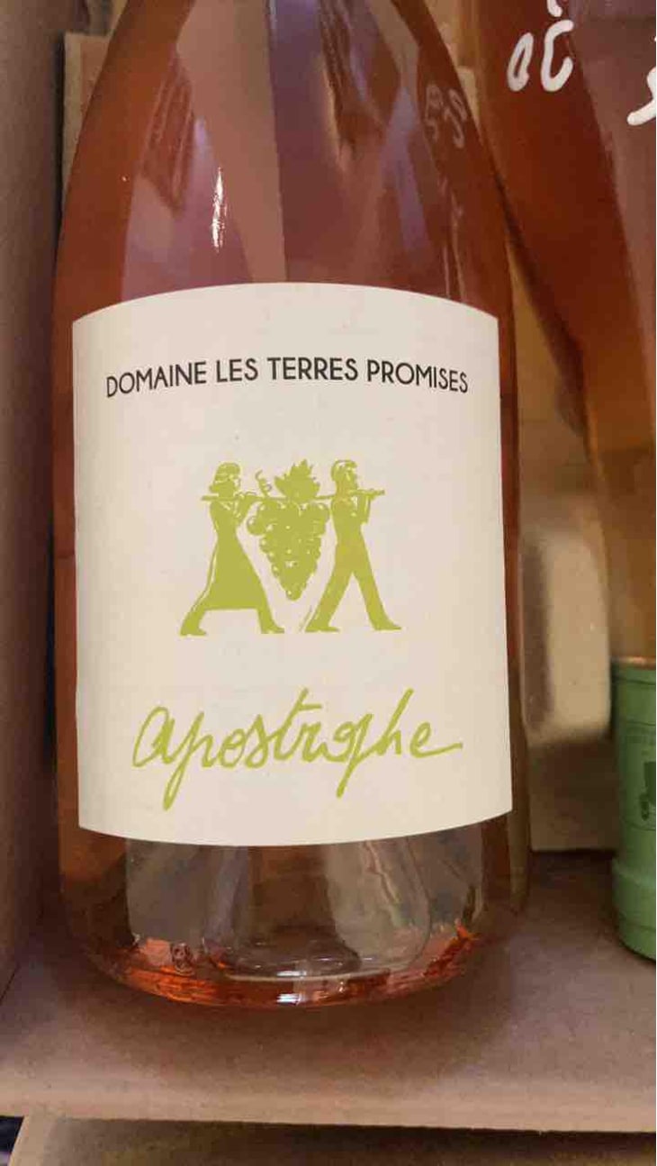 Antidote - Les Terres Promises - Jean-Christophe Comor 
