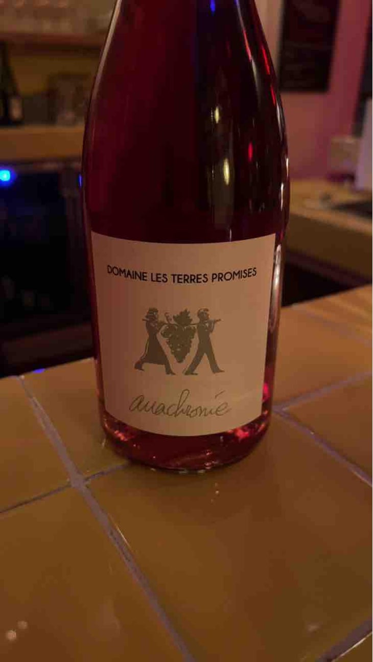 Antidote - Les Terres Promises - Jean-Christophe Comor 