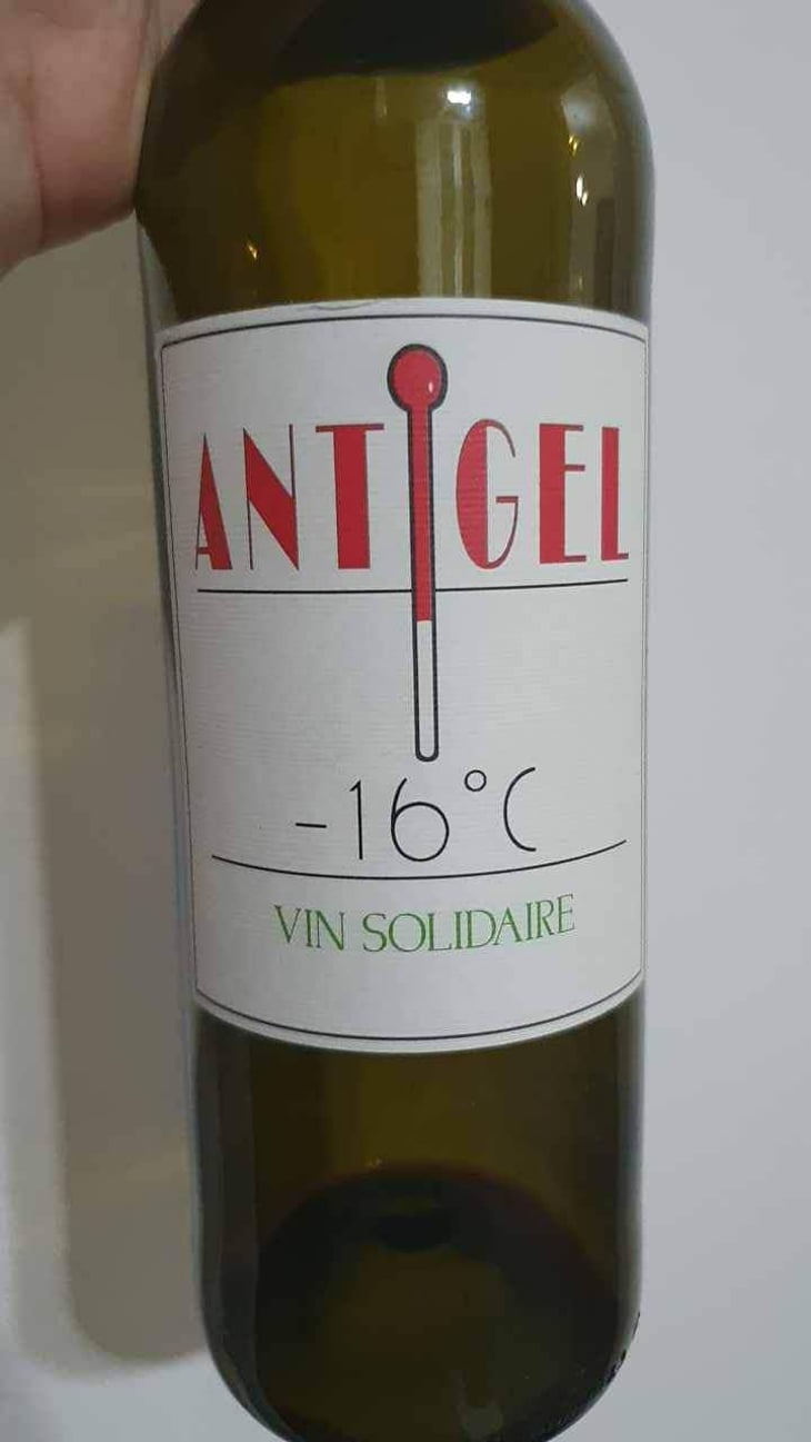 Antigel - Le Jonc Blanc - Isabelle Carles & Franck Pascal 