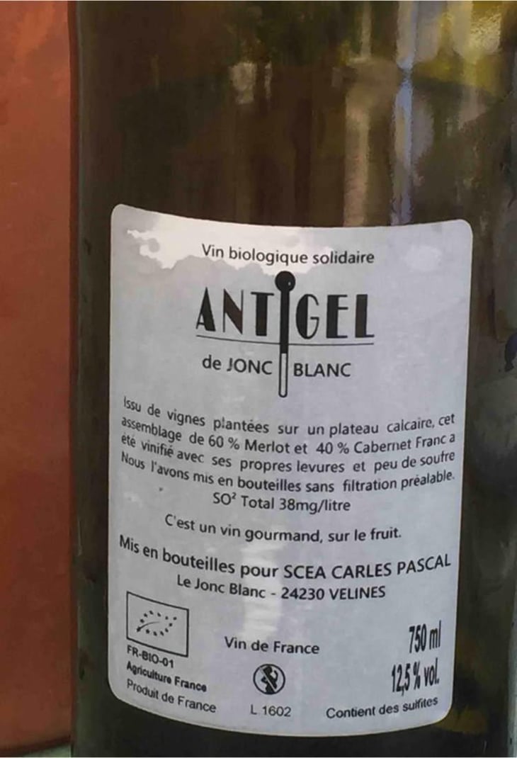 Antigel - Le Jonc Blanc - Isabelle Carles & Franck Pascal 