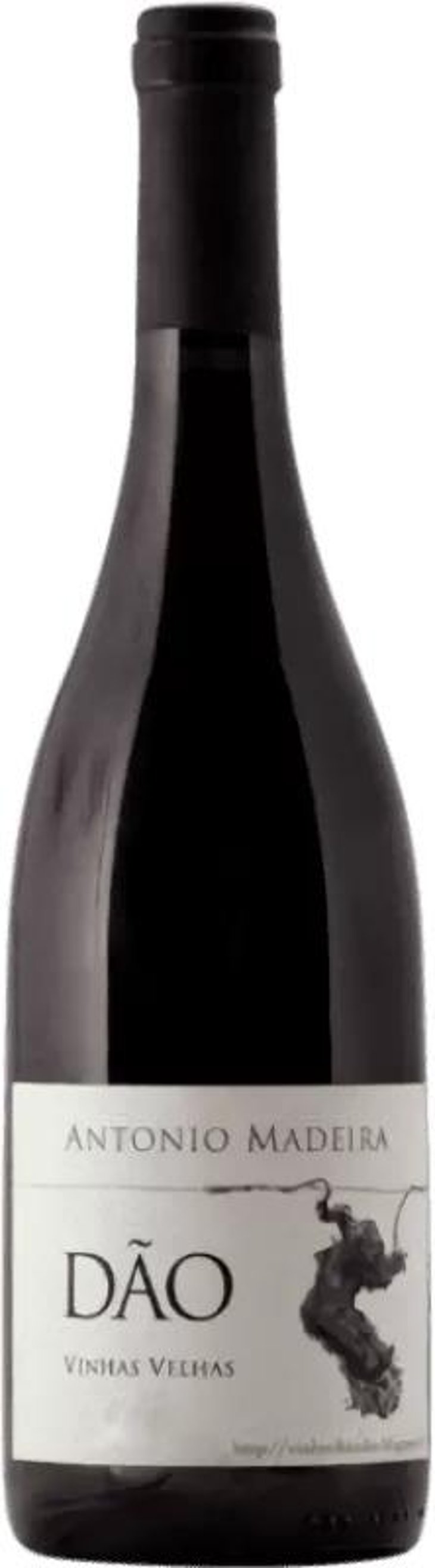António Madeira Branco 2021 - António Madeira - António Madeira -2021