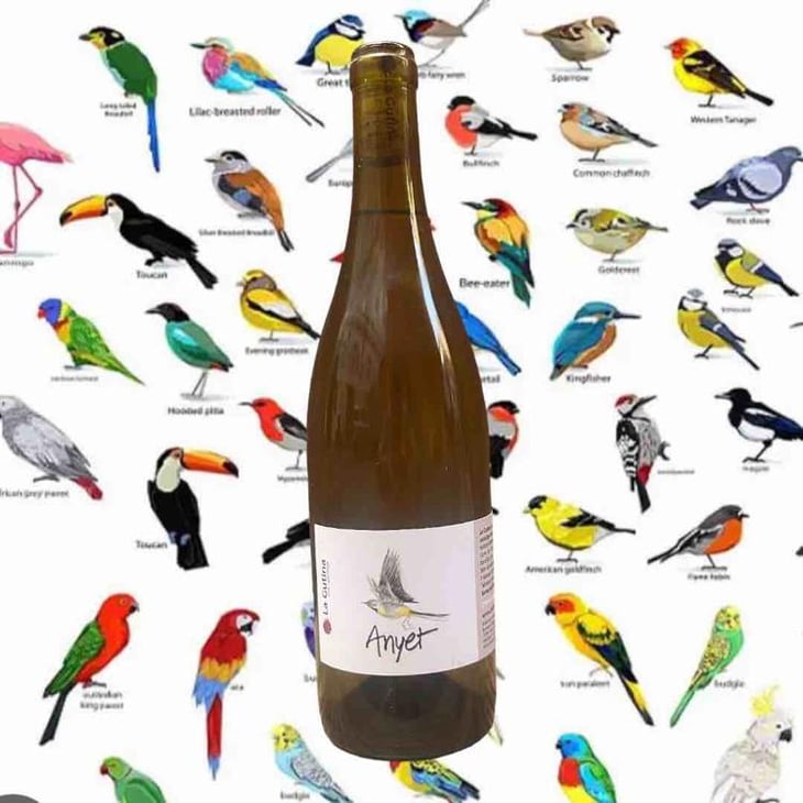Anyet - Celler La Gutina - Barbara Magugliani & Joan Carles Torres 