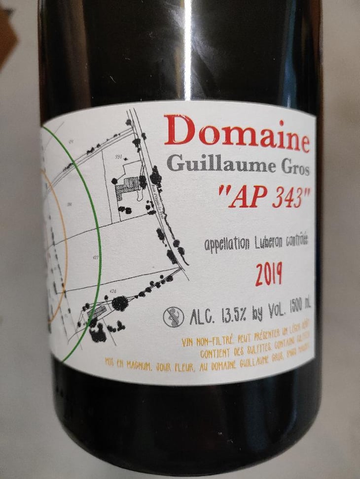 AP 343 - Guillaume Gros - Guillaume Gros -2019