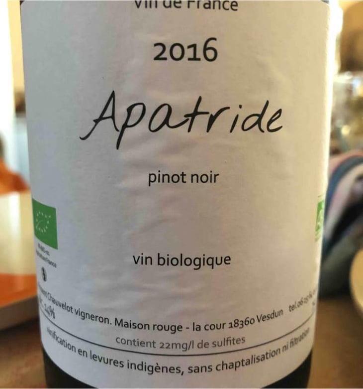 Apatride - Vincent Chauvelot - Vincent Chauvelot 