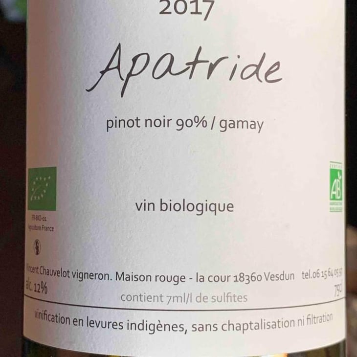 Apatride - Vincent Chauvelot - Vincent Chauvelot 