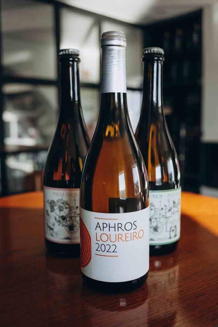 Aphros Loureiro - Aphros Wines Cellar - Vasco Croft, Tiago Sampaio & Miguel Viseu 