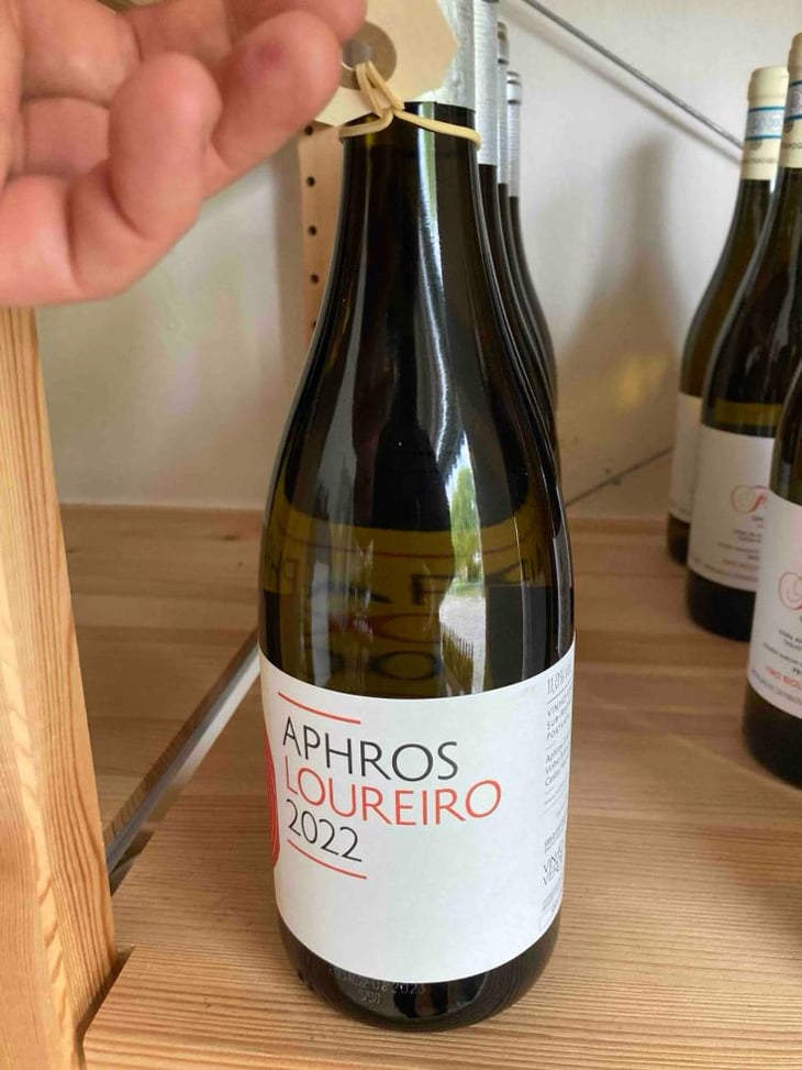 Aphros Loureiro - Aphros Wines Cellar - Vasco Croft, Tiago Sampaio & Miguel Viseu 