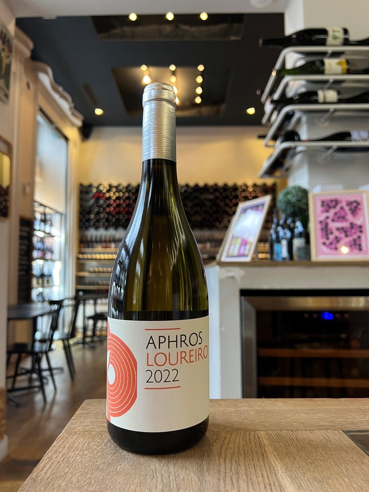 Aphros Loureiro - Aphros Wines Cellar - Vasco Croft, Tiago Sampaio & Miguel Viseu 