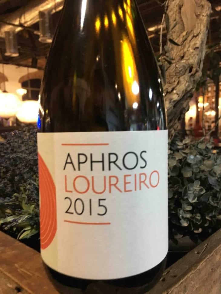 Aphros Loureiro - Aphros Wines Cellar - Vasco Croft, Tiago Sampaio & Miguel Viseu 