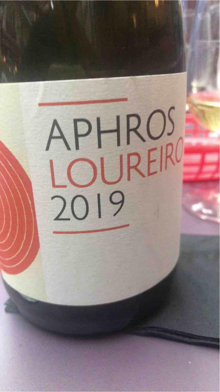 Aphros Loureiro - Aphros Wines Cellar - Vasco Croft, Tiago Sampaio & Miguel Viseu 