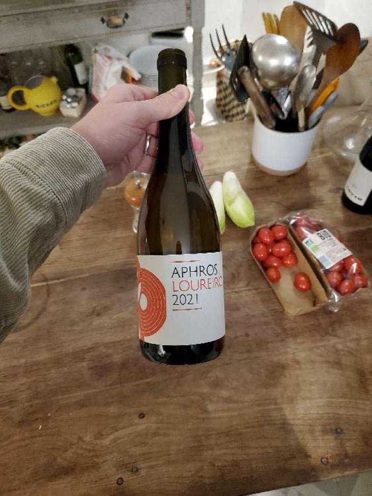Aphros Loureiro - Aphros Wines Cellar - Vasco Croft, Tiago Sampaio & Miguel Viseu 