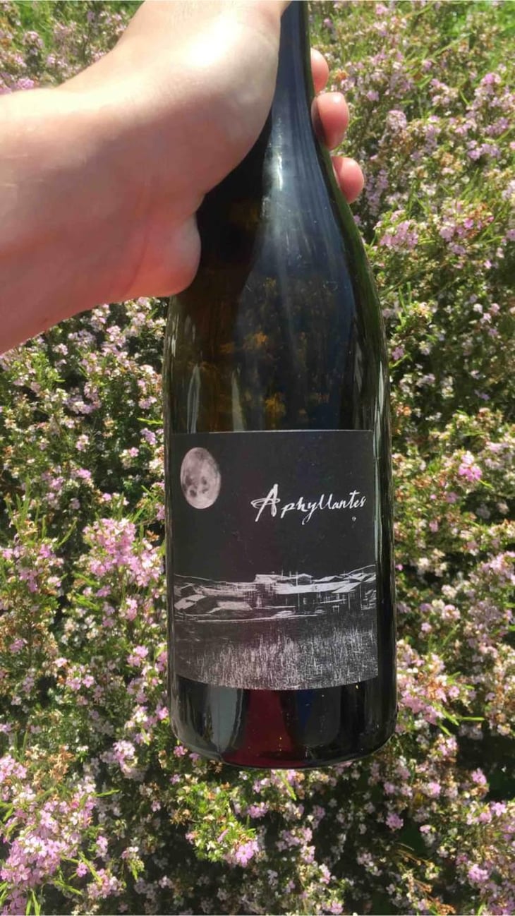 Aphyllantes - Domaine Des Vignes Rouges - Séverine & Raphaël Dubois 
