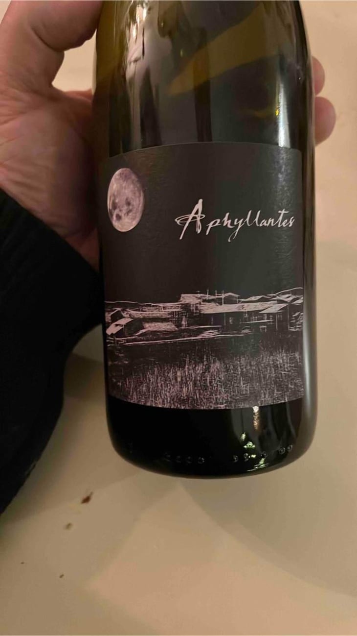 Aphyllantes - Domaine Des Vignes Rouges - Séverine & Raphaël Dubois 