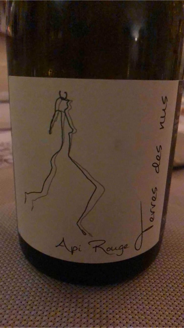 Api Rouge - Terres Des Nus - Bruno Debon 