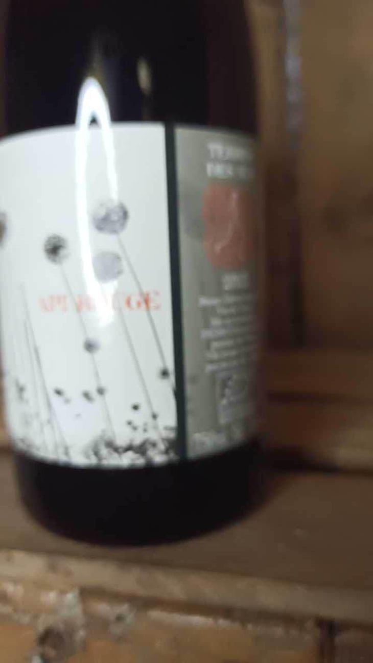 Api Rouge - Terres Des Nus - Bruno Debon 