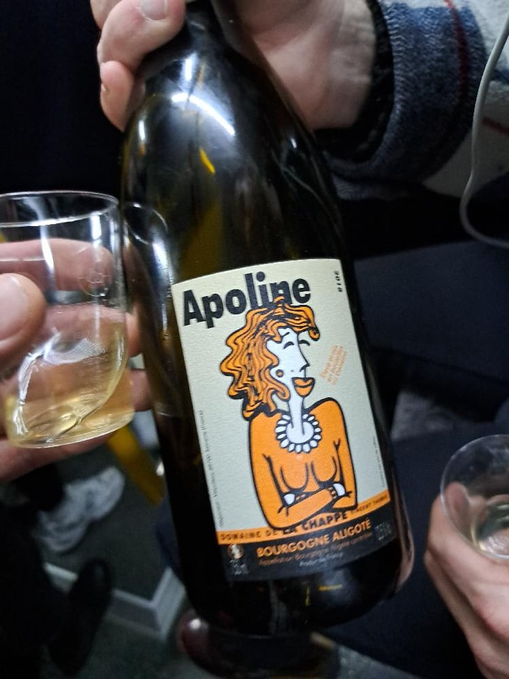 Apoline - Domaine de la Chappe - Vincent Thomas 