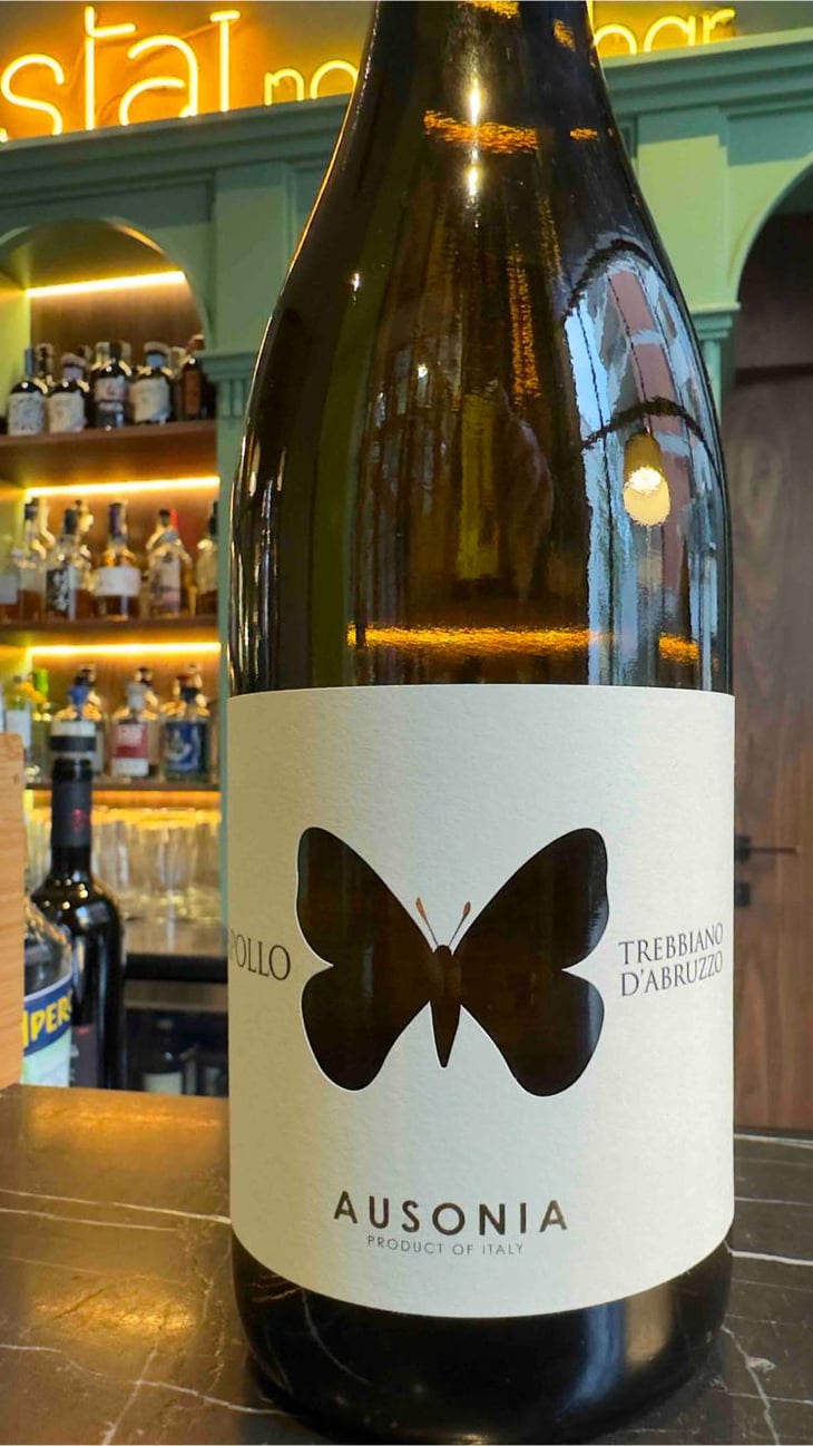 Apollo Bianco - Ausonia - Simone Binelli -2019