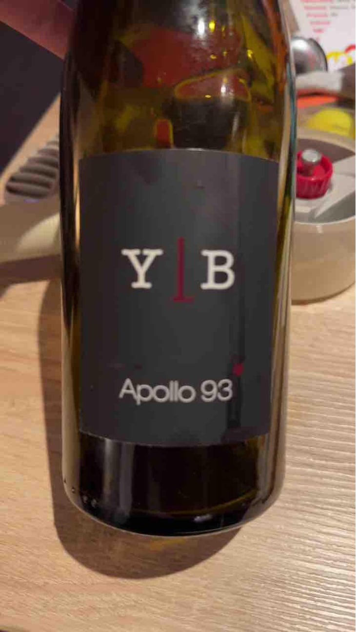 Apollo 93 - L'ancienne Cordonnerie - Yann Le Bouler 