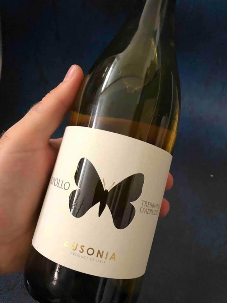 Apollo Rosato - Ausonia - Simone Binelli 
