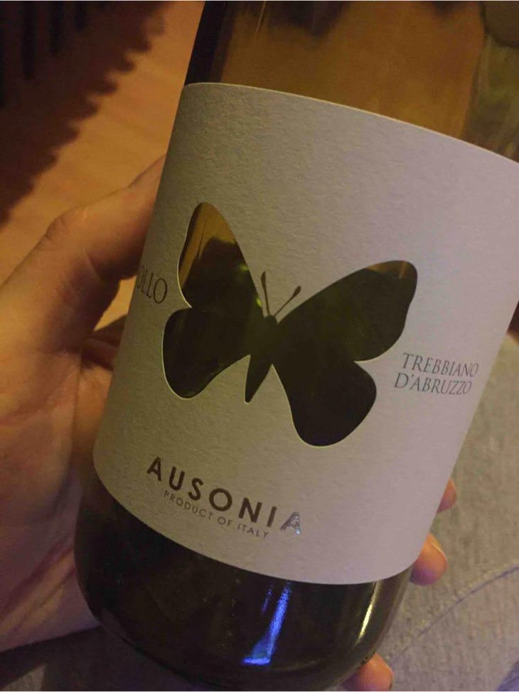 Apollo Rosato - Ausonia - Simone Binelli 