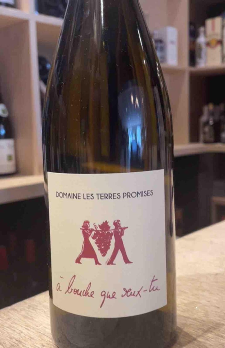 Apostrophe - Les Terres Promises - Jean-Christophe Comor 
