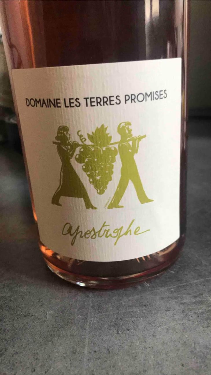 Apostrophe - Les Terres Promises - Jean-Christophe Comor 