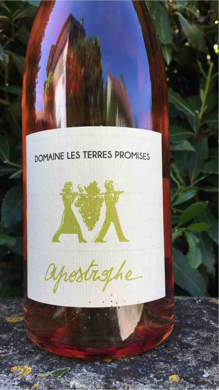 Apostrophe - Les Terres Promises - Jean-Christophe Comor 