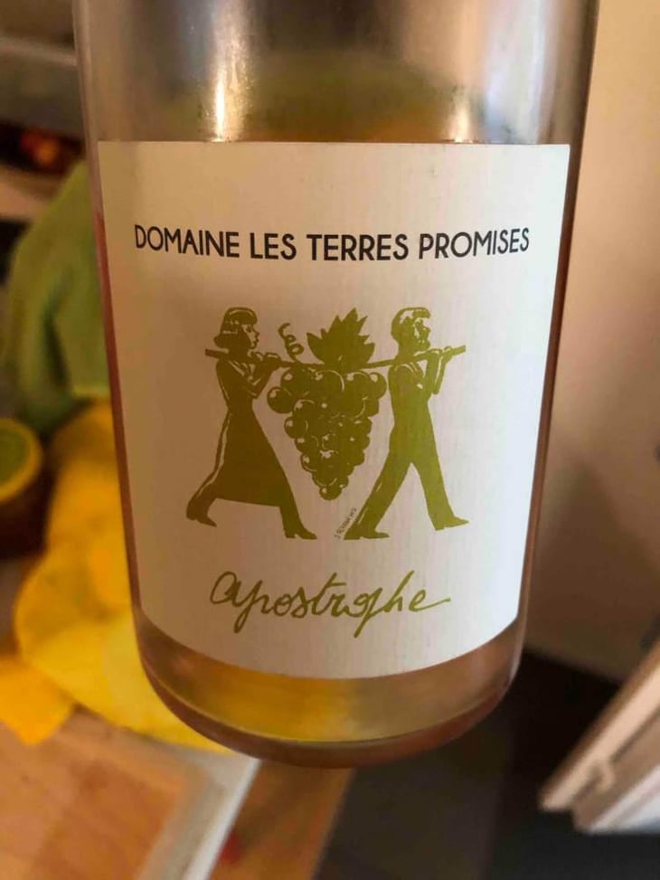 Apostrophe - Les Terres Promises - Jean-Christophe Comor 