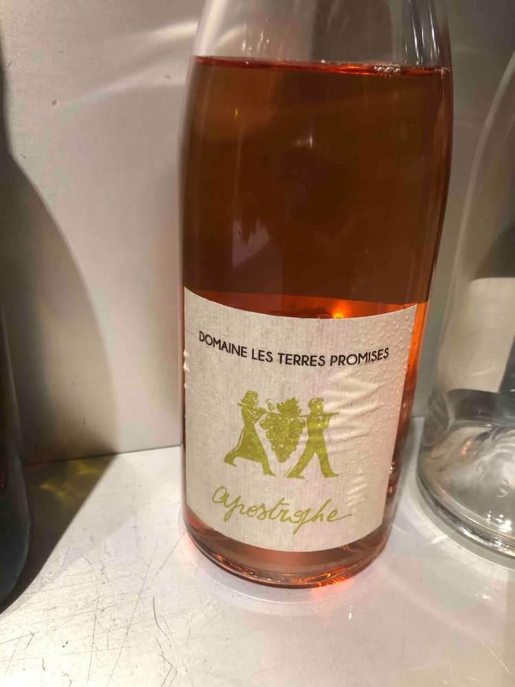 Apostrophe - Les Terres Promises - Jean-Christophe Comor 