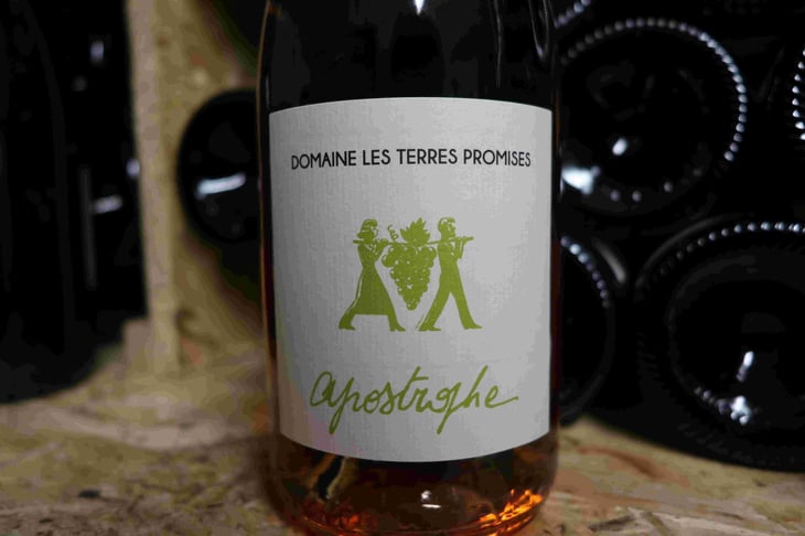 Apostrophe - Les Terres Promises - Jean-Christophe Comor 