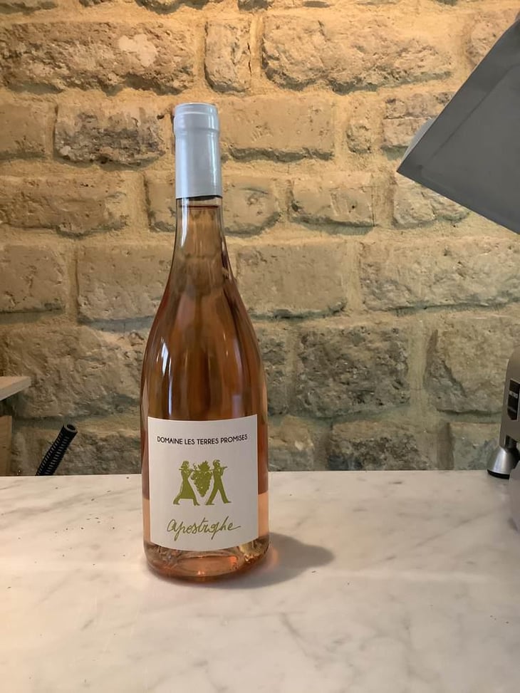 Apostrophe - Les Terres Promises - Jean-Christophe Comor 