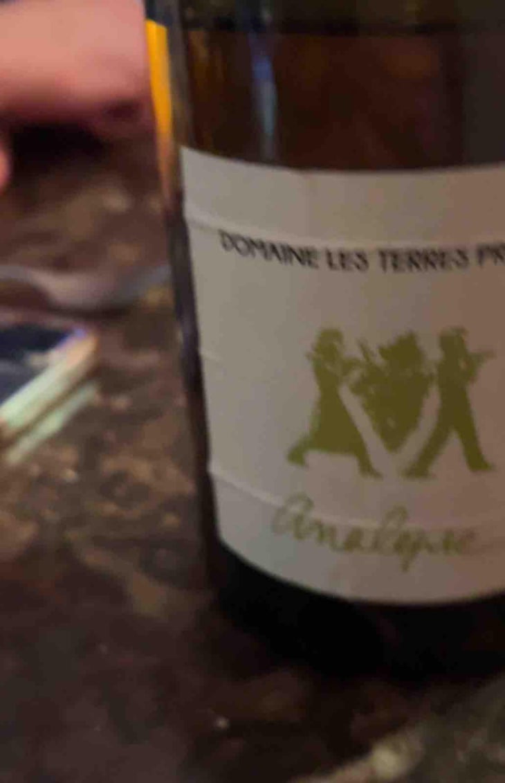 Apostrophe - Les Terres Promises - Jean-Christophe Comor 