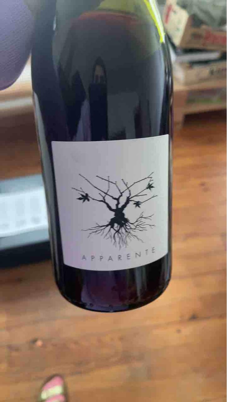 Apparente - Chateau Puech redon - Cyril Cuche -2017