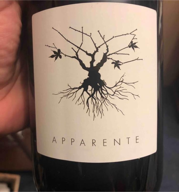 Apparente - Chateau Puech redon - Cyril Cuche -2017