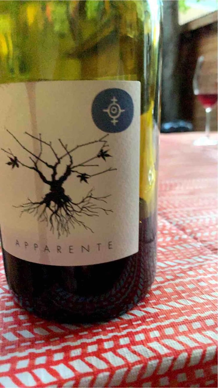 Apparente - Chateau Puech redon - Cyril Cuche -2017