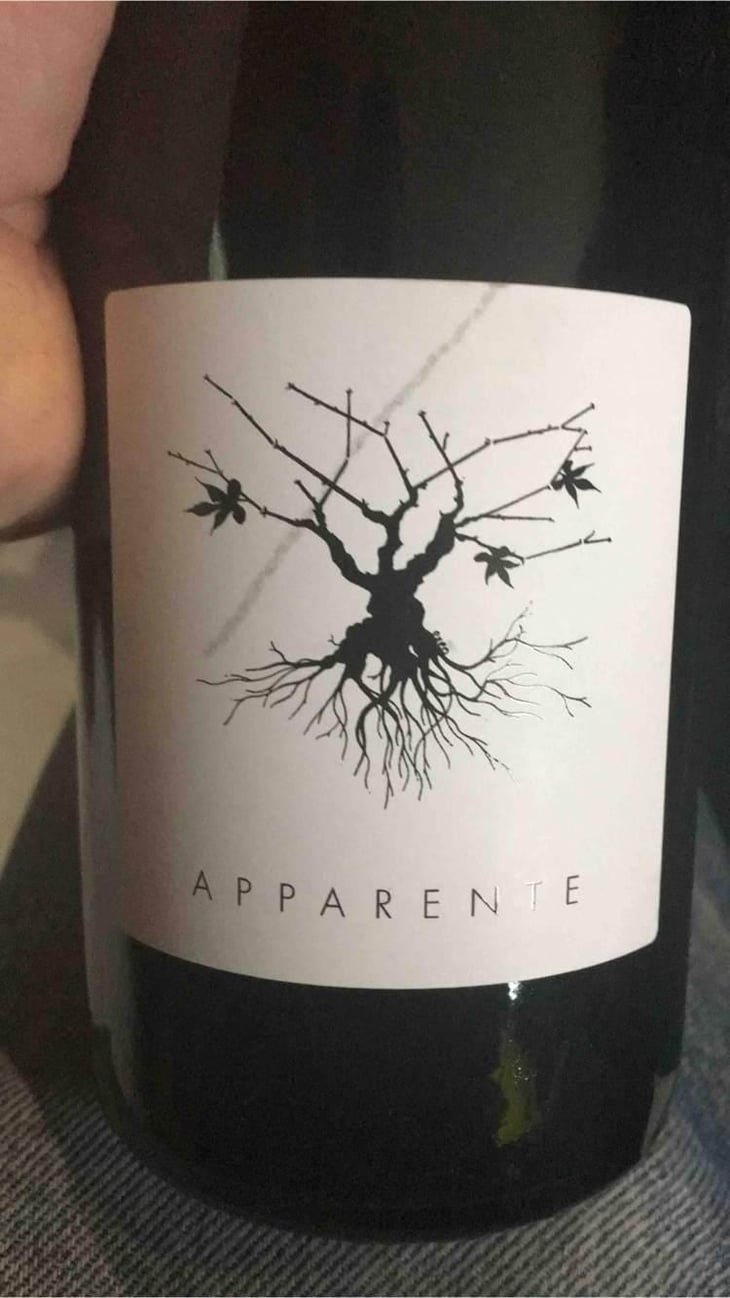 Apparente - Chateau Puech redon - Cyril Cuche -2017