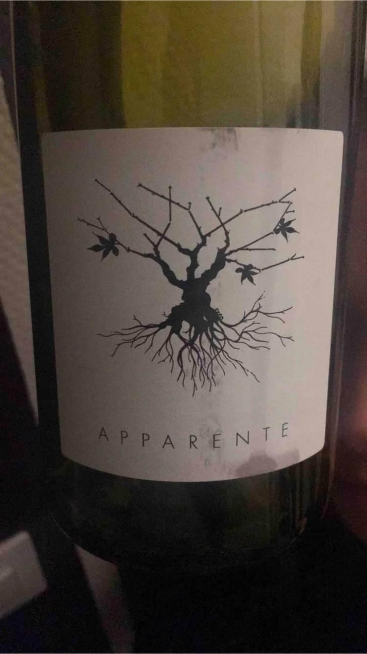 Apparente - Chateau Puech redon - Cyril Cuche -2017