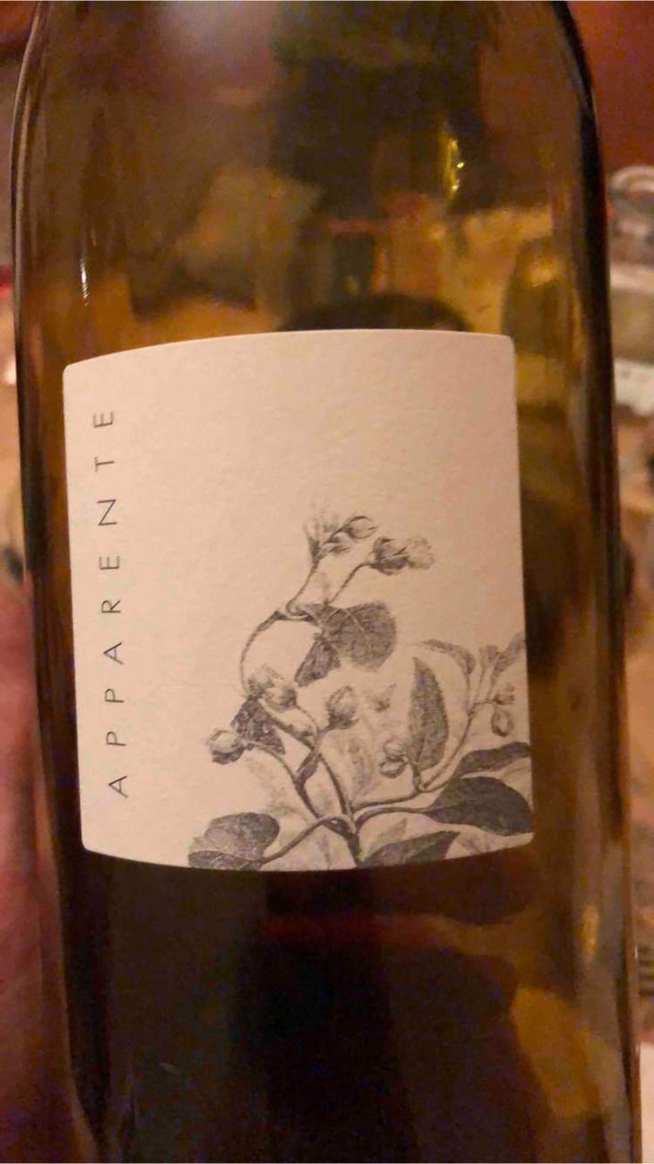 Apparente - Chateau Puech redon - Cyril Cuche -2017