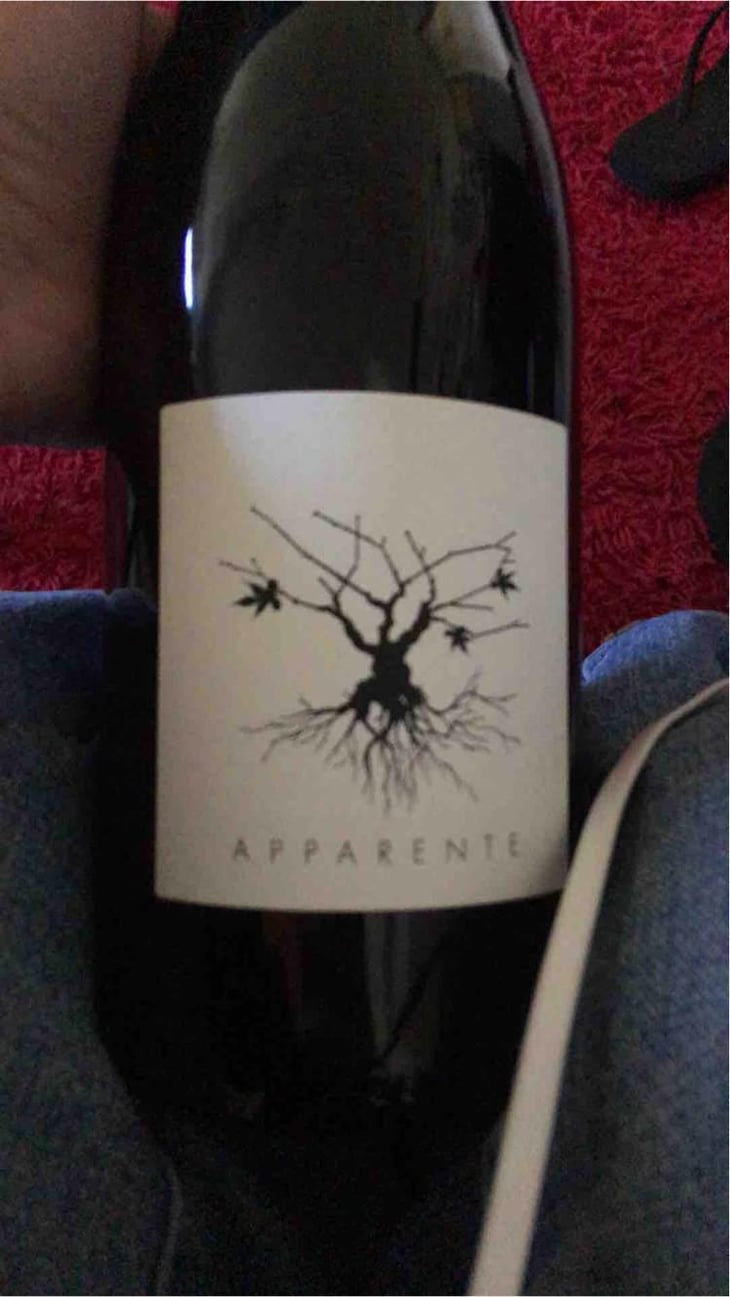 Apparente - Chateau Puech redon - Cyril Cuche -2017