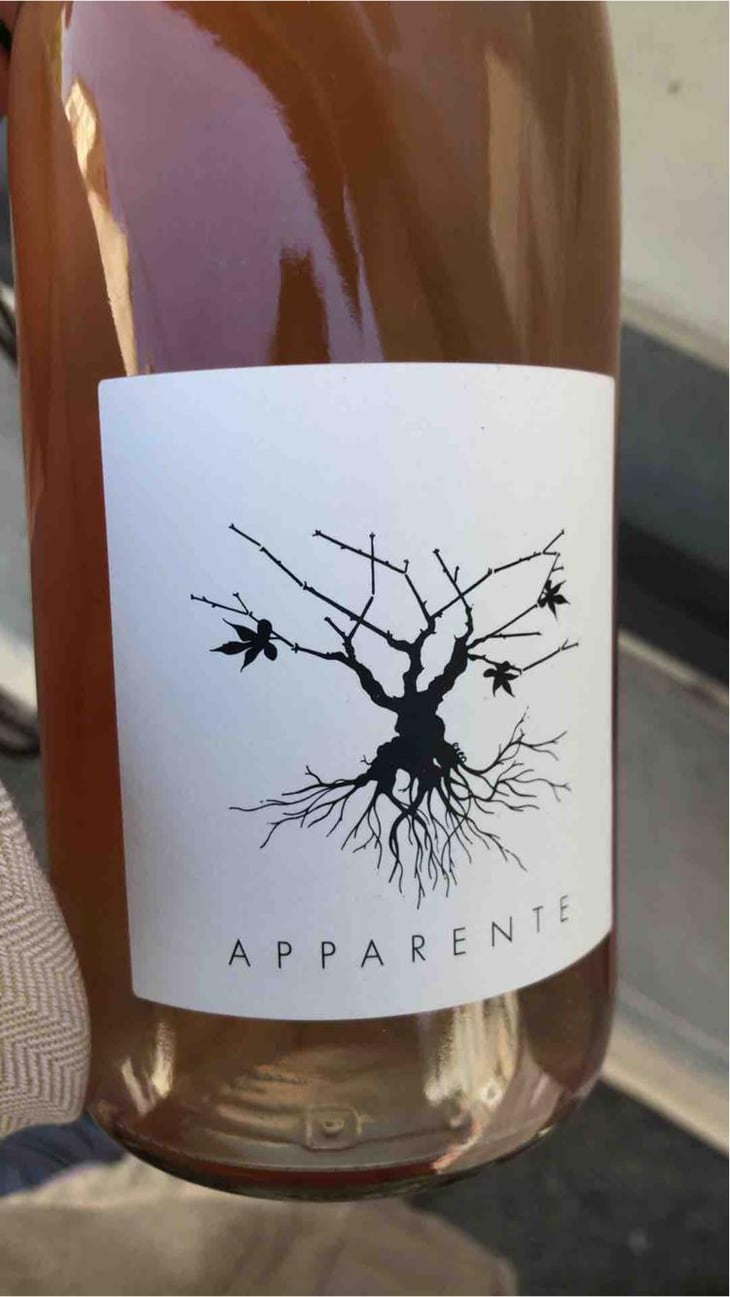 Apparente - Chateau Puech redon - Cyril Cuche -2017