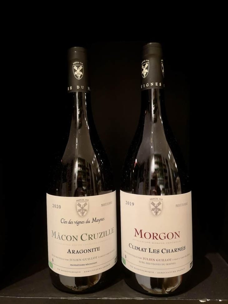 Aragonite - Clos des Vignes du Maynes - Julien Guillot 
