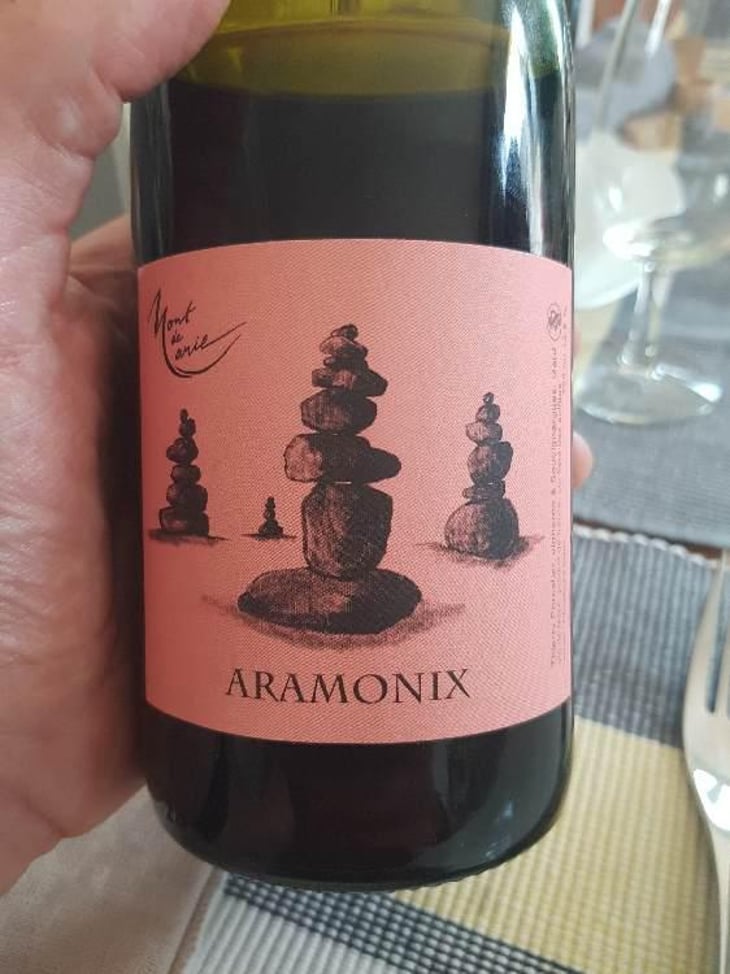 Aramonix - Mont de Marie - Thierry Forestier 
